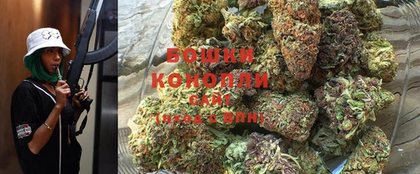 индика Кукмор