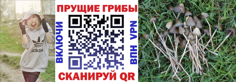 Галлюциногенные грибы ЛСД omg как зайти Мамадыш закладки